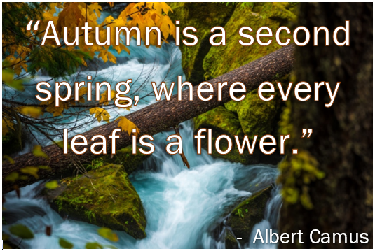 fall-news fall-news