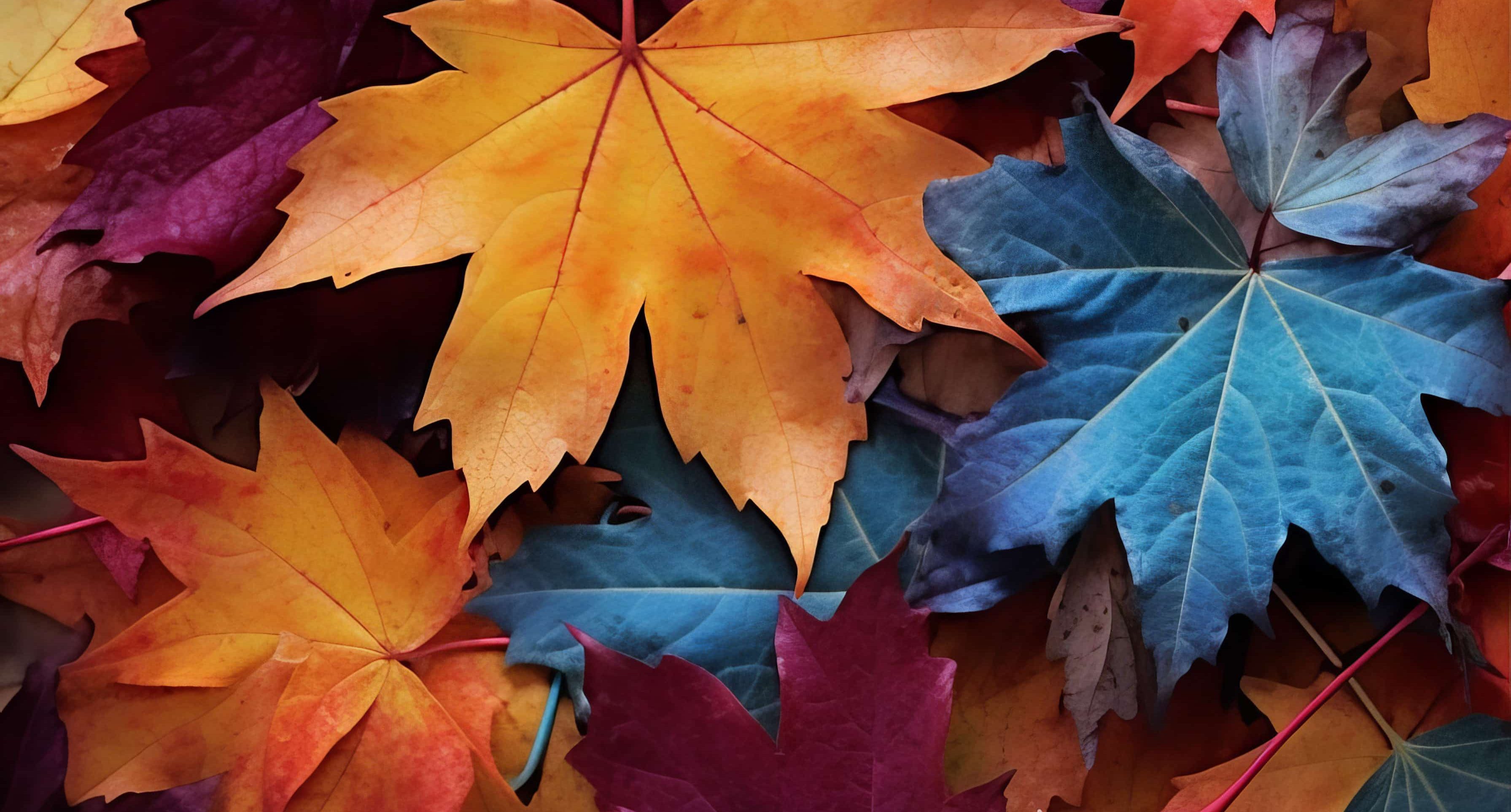 Autumn leaves lying on the floor